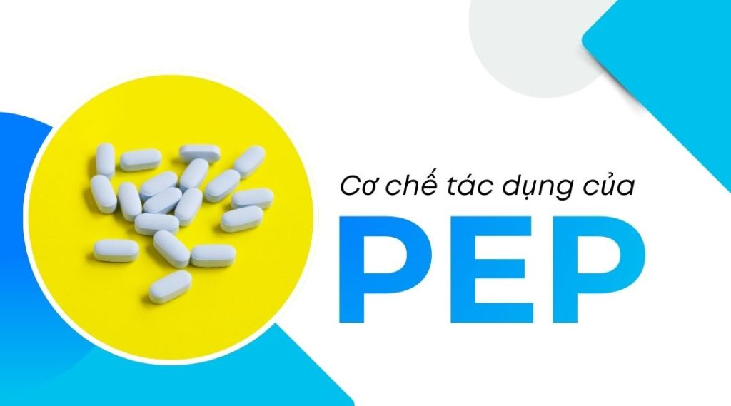 Cơ chế tác dụng của PEP