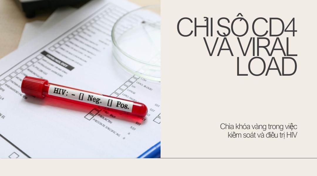 Chỉ số CD4 và Viral Load Chìa khóa vàng trong việc kiểm soát và điều trị HIV